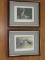 2 U.S. Department of The Interior Stamp Prints Lesser Snow Goose & Fulvous Whistling Duck