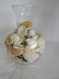 Hand Blown Glass Vase w/ Decorative Scalloped Sea Shells