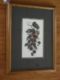 Blackberry Clusters & Foliage Artist Signed Botanical Print in Oak Frame/Matt