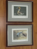 2 U.S. Department of The Interior Stamp Prints Lesser Snow Goose & Fulvous Whistling Duck