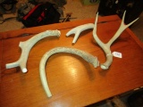 Lot - Misc. Animal/Antler Horns Various Lengths