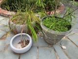 Garden Lot - Ceramic/Stoneware Planters w/ Plants