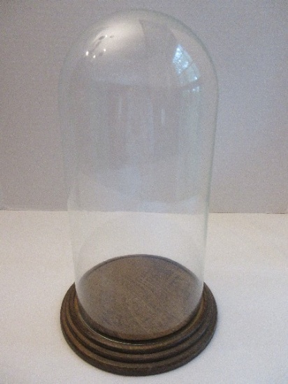 Vera Design Glass Display Dome Cloche Bell w/ Wood Base