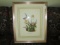 Anthracothorax Prevostii Hummingbird Picture Print in Gilted Wood Frame/Matt