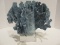 Kathy Kuo Home Abaco Coastal Beach Blue Coral Sculpture Décor on Glass Base