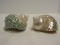 Pair - Polished Pearl Jade Turbo Seashells