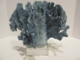 Kathy Kuo Home Abaco Coastal Beach Blue Coral Sculpture Décor on Glass Base