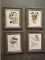 Set - 4 Fruit/Flower Framed Prints in Matching Wood Tone/Silver Brushed Finish Trim Frames