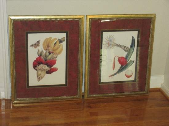 Pair - Botanical Prints Cactus in Bloom & Banana Tree Flower w/ Butterfly Antiqued Rope Trim