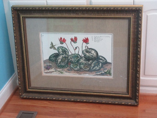 Botanical Flowering Plant & Insects Hand Colored Engraving