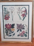 Botanical Illustration Floral Print in Gilded Antiqued Patina Frame/Matt