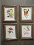 Set - 4 Fruit/Flower Framed Prints in Matching Wood Tone/Silver Brushed Finish Trim Frames