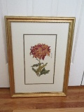 Still Life Chrysanthemum Stemmed Flower Print Embossed Trim Gold Tone Frame/Matt