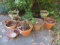 Lot - Garden Pots/Planters Clay/Plastic, Various Sizes, Etc.