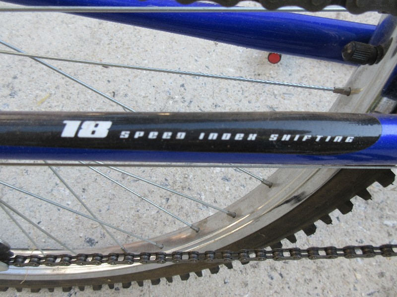 Dasani bike on sale
