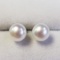 Silver Fresh Water Pearl Earrings