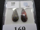 2 Genuine Canadian Ammolite Pears