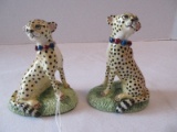 Pair - Basil Matthews Cheetah Limited 3