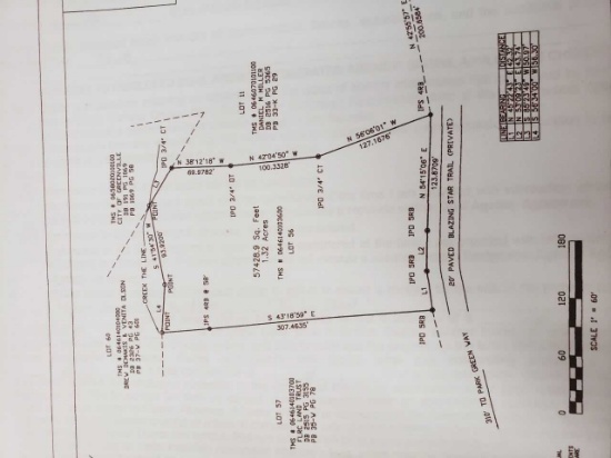 REAL ESTATE AUCTION - 120 BLAZING STAR TRAIL