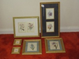 Botanical Prints Ornate Frames/Matt Floral Spray, Iris & Butterfly, Etc.