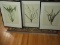Set - 3 House in The Country Inc. Botanica Prints