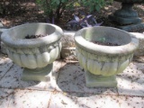 Pair - Scallop Body Design Concrete Planters