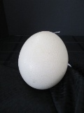 White Unpainted Ostrich Egg