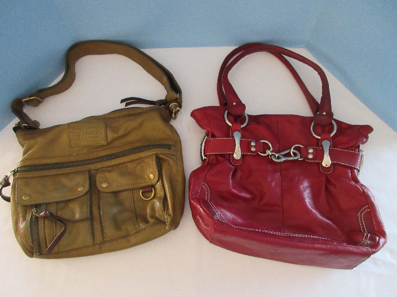 Fossil pocket books hotsell