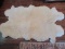 Ivory Sheep Skin Pelt Accent Rug