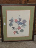 Vintage 1974 Perched Blue Jay & Butterfly on Maple Limb Artist Signed Webb Garrison Print