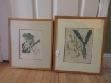 Pair - Botanical Orchids in Bloom Hand Colored Engravings in Wooden Frames/Gray Mats