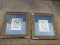 Pair - Finches/Birds Picture Prints in Ornate Wooden Gilted Frames/Matt