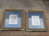 Pair - Finches/Birds Picture Prints in Ornate Wooden Gilted Frames/Matt