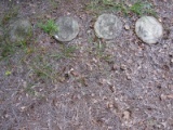 4 Rabbit Motif Stepping Stones 16 1/4