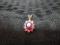 STS 14k Stamped Pendant w/ Oval Ruby Center, Pink Stone Flower Design