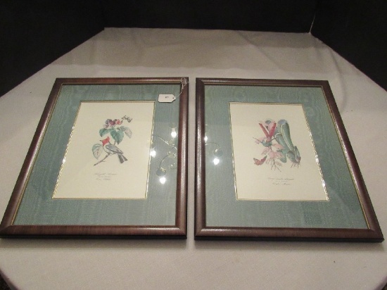 Pair - Bird in Branch Picture Prints in Wooden Frames/Matts