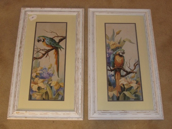 Pair - Parrots w/ Flowers Picture Prints by M. Johnston in Antiqued White Wood Frame/Matt