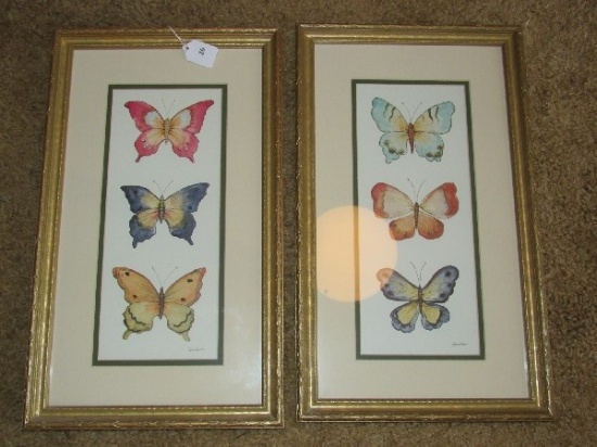 Pair - Colorful Butterflies Picture Prints in Gilted Wooden Frame/Matt