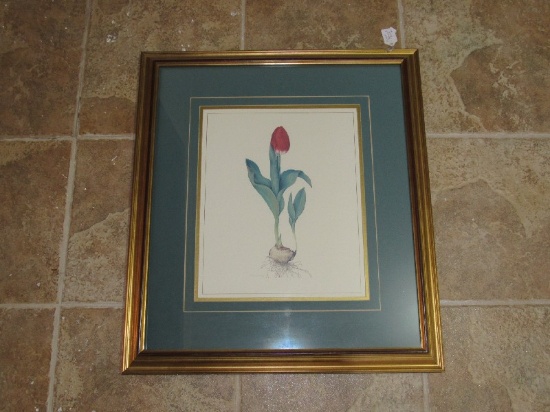 Tulip Picture Lithograph Limited 212/500 Edition Artist Signed 1994