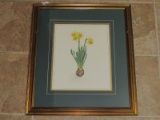 Daffodils Picture Lithograph Limited 212/500 Edition Artist Signed 1994