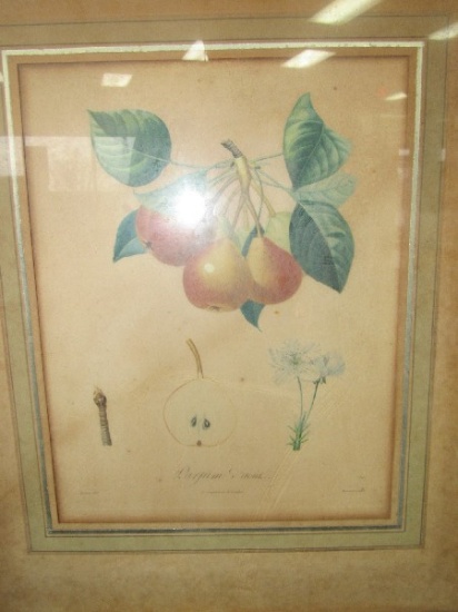 Peaches in Branches Picture Print in Gilded Wooden Frame/Matt