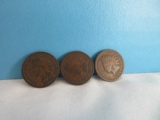 1898, Two 1899 Indian Head Wheat Penny Coins