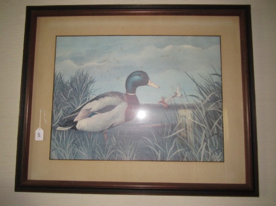 Mallard Picture by A.J. Rudisill in Wooden Frame/Matt