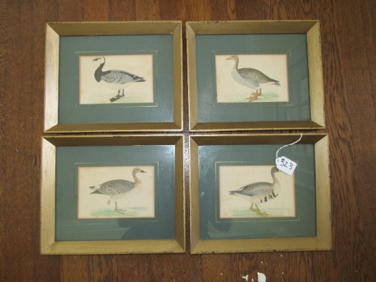 4 Vintage Duck/Mallard Picture Prints in Black/Gilded Frames/Matt