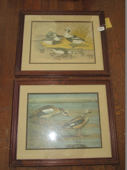 Pair - Vintage Ducks Picture Prints in Wooden Frames/Matts
