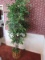 Wicker Basket Planter w/ Tall Faux Ficus Tree
