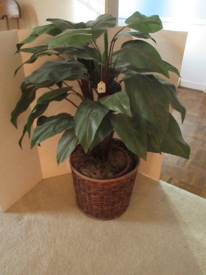 Tropical Silk 39" Plant in Woven Basket & Terra Cotta Clay Pot