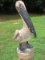 Pelican Concrete Statue Painted Finish