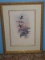 Hummingbird & Botanical Illustration Fine Art Print Attributed to J.Gould & H.C. Richter