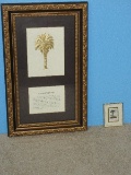 S.C. Gilted Embossed Palmetto Tree Symbol Brief History
